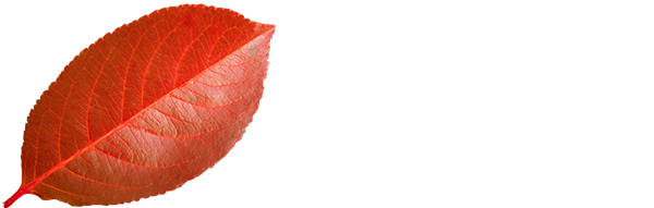 icv