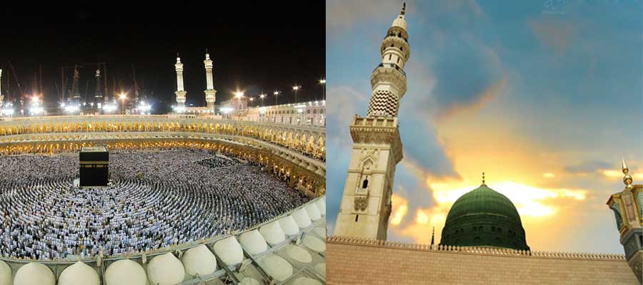 دليل الزيارة