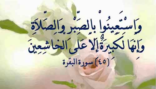 محاسن_الإسلام