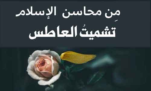 محاسن_الإسلام