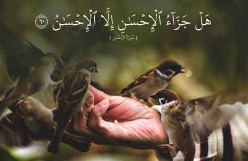 محاسن_الإسلام