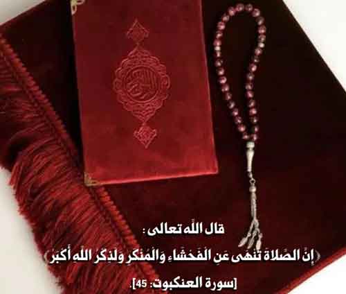 محاسن_الإسلام